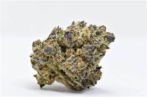DISTINKT : GUAVA COOLER
