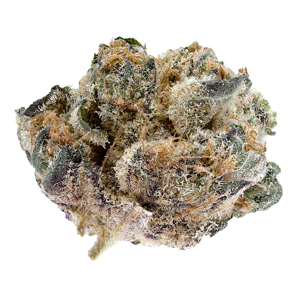 LEGEND : BLACKBERRY GELATO