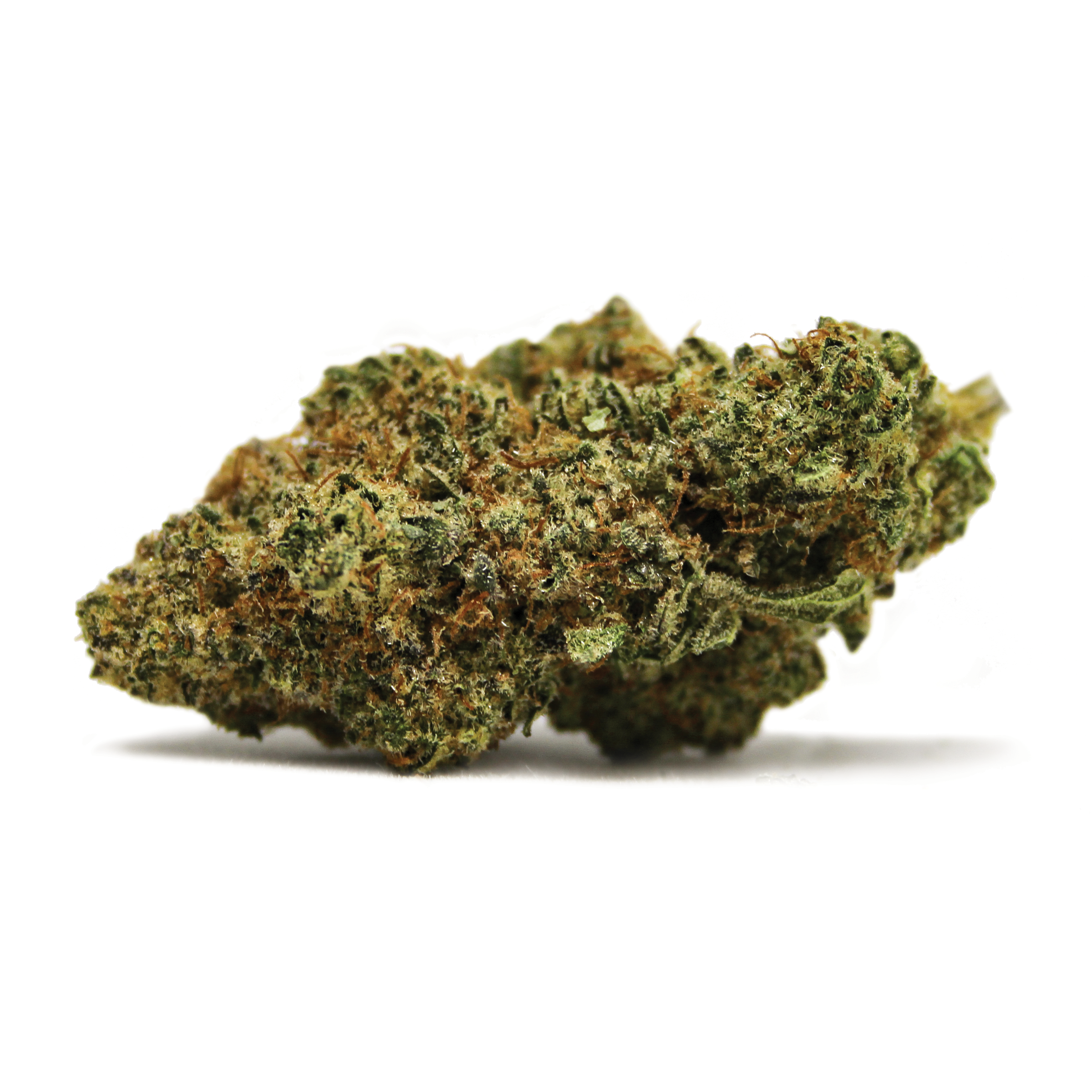 Spinach : DANCEHALL
