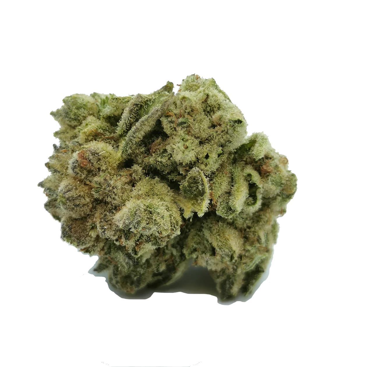 Ouest - Ginger Fizz -  Indica 3.5G