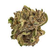 Canaca : GREEN CUSH