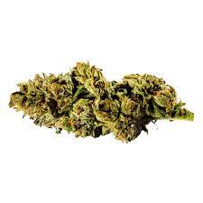 Redecan : SENSI STAR