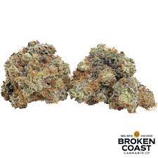 Broken Coast Cannabis : STRYKER