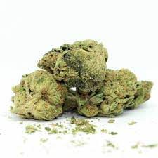 HAVEN ST. PREMIUM CANNABIS : No. 427 Retrograde Pre-Roll - No. 427 Retrograde Pre-Roll (5x0.5g)
