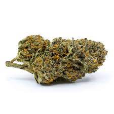 Redecan : SENSI STAR