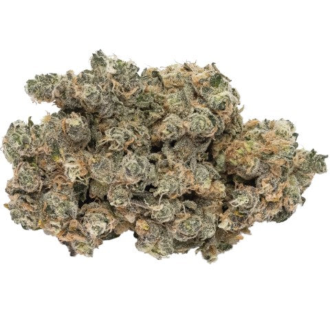 Delta 9 Cannabis : White Widow
