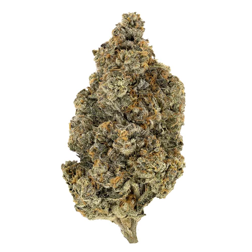 WOODY NELSON : SSOG FLIGHT PACK SMALLS