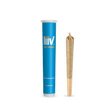 LIIV : EASY CHEESY PRE-ROLL (1g) 1010248