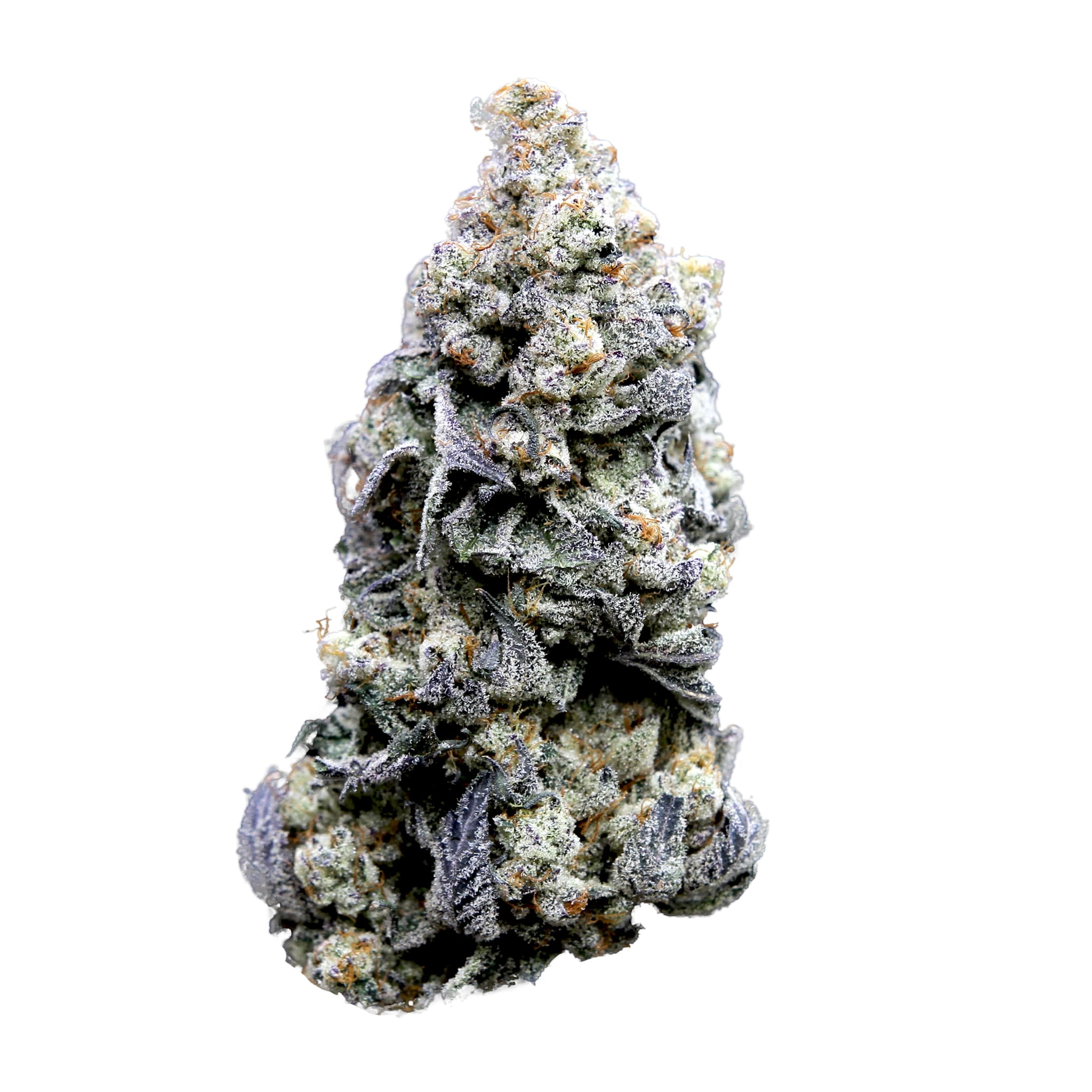 FRESH : ALIEN COOKIES