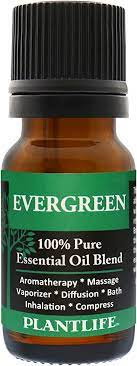 Evergreen Medicinal : LOW GEAR OIL (30mL)