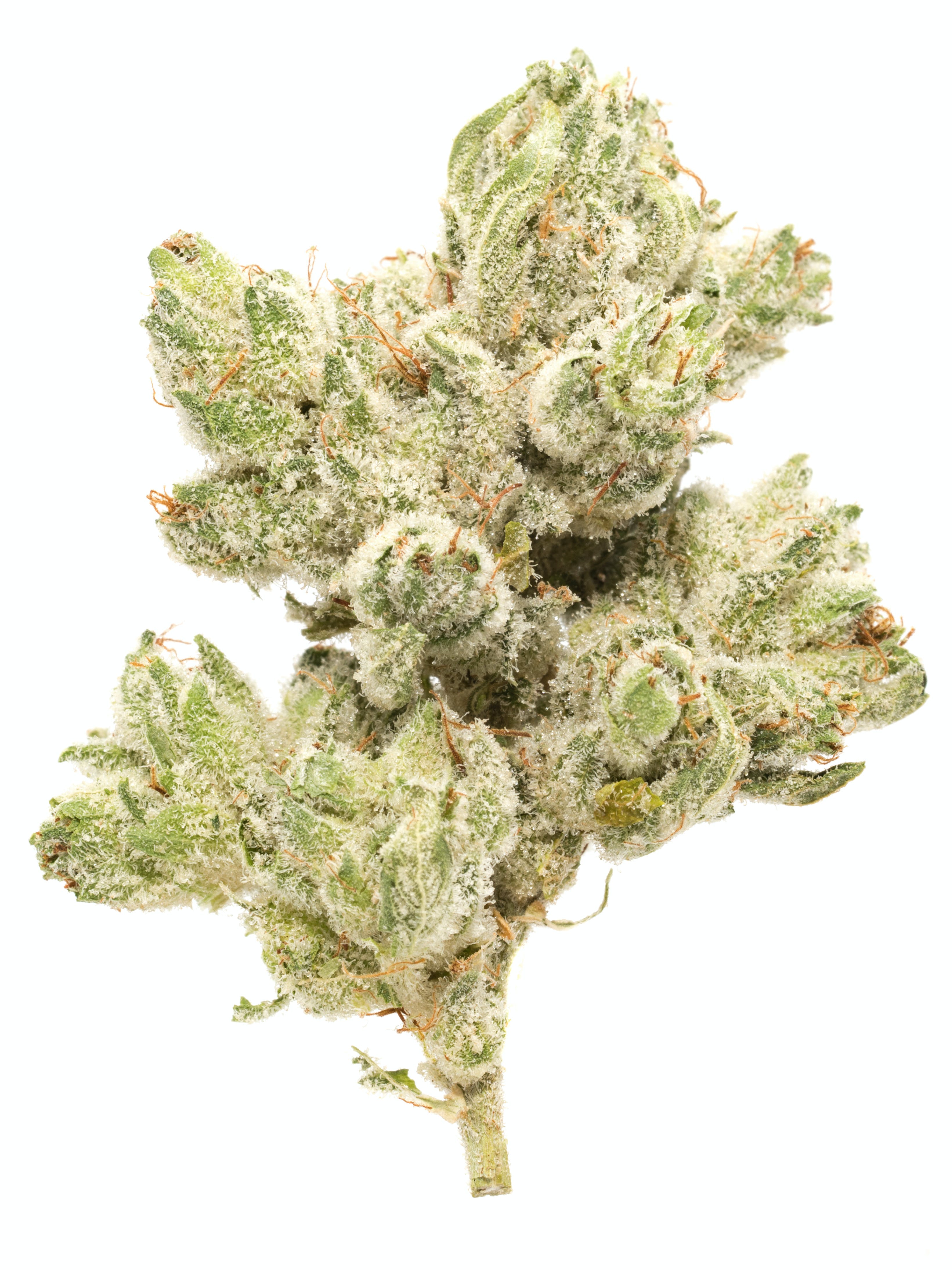 Namaste : MK ULTRA PRE-ROLL (2.5g)