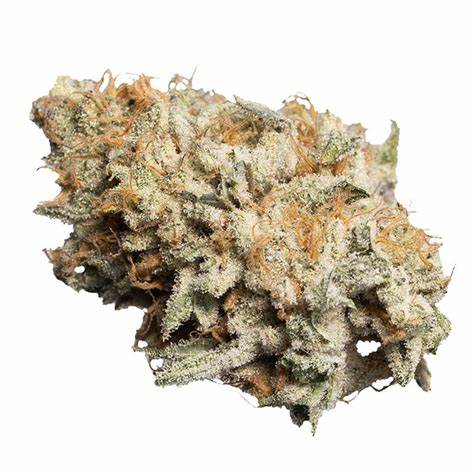 OGEN: FRESHLY BAKED #76