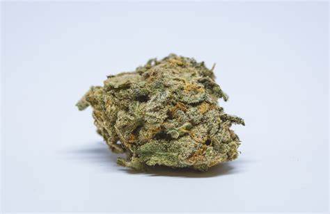 NAMASTE : CREAM CARAMEL
