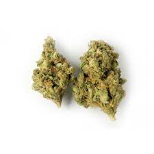 WeedMD : GHOST TRAIN HAZE