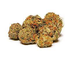 Whistler Cannabis Co. : BRANDYWINE OIL (15mL)