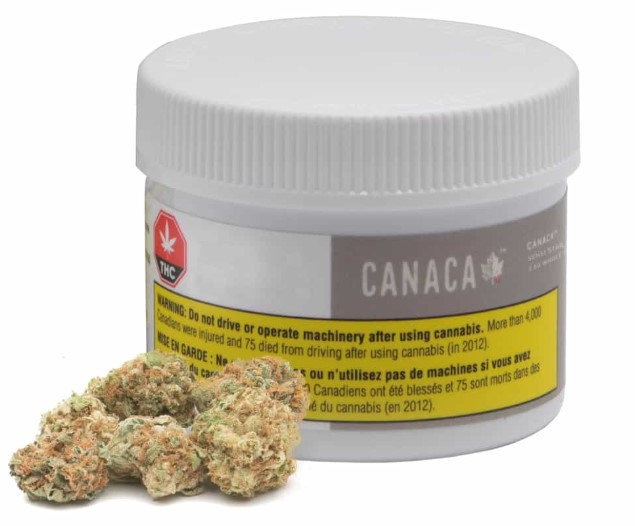 Canaca : SELECT GLUE