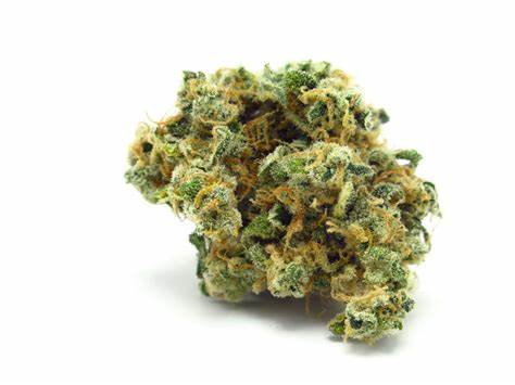Melt : ORANGE COOKIE OCTANE