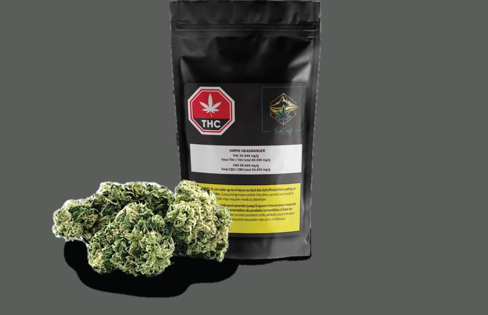 BUDCOAST : HIPPIE HEADBANGER