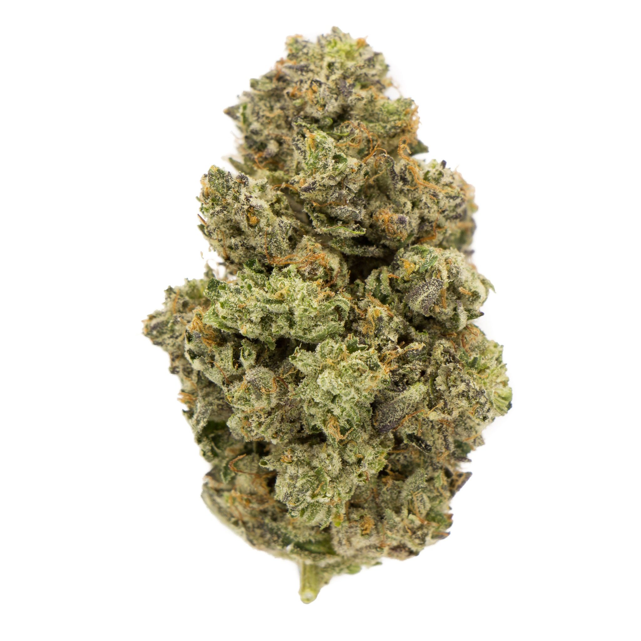 Just Kush : TUNA ROCKSTAR