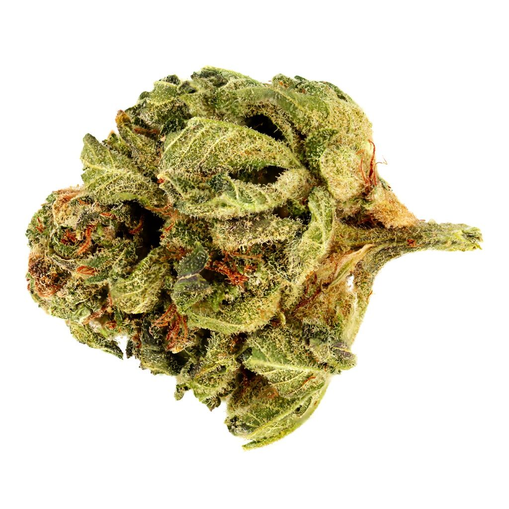 The Batch : QUARTER