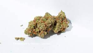 Whistler Cannabis Co. : CHOCOLOPE
