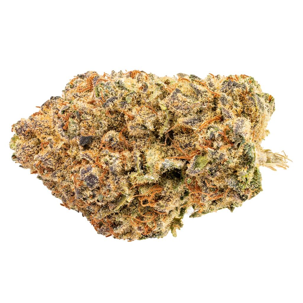 B!Ngo - Indica! -  Indica 28G