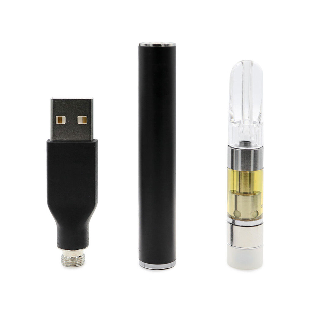 PHYTO : BLUEBERRY KIT (0.5g)