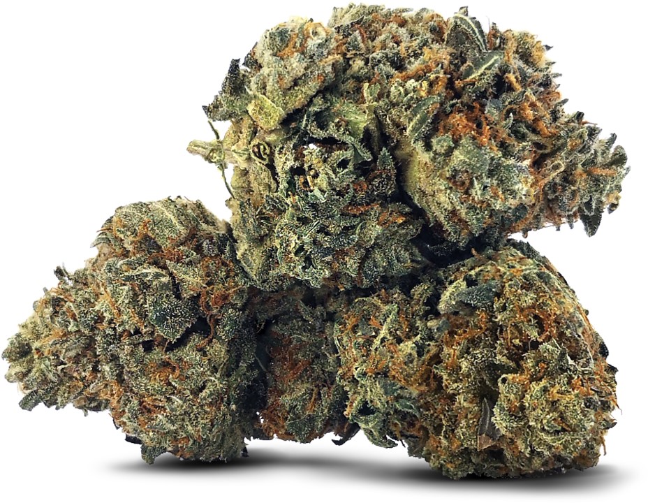 Stonegrove : BIZQUICK