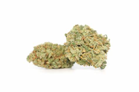 Whistler Cannabis Co. - Organic Sour Jack - Sativa - 0912 - 3.5G