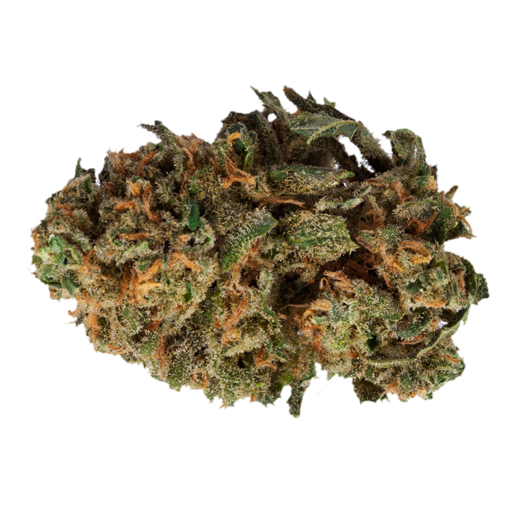 HEXO : OS. SATIVA