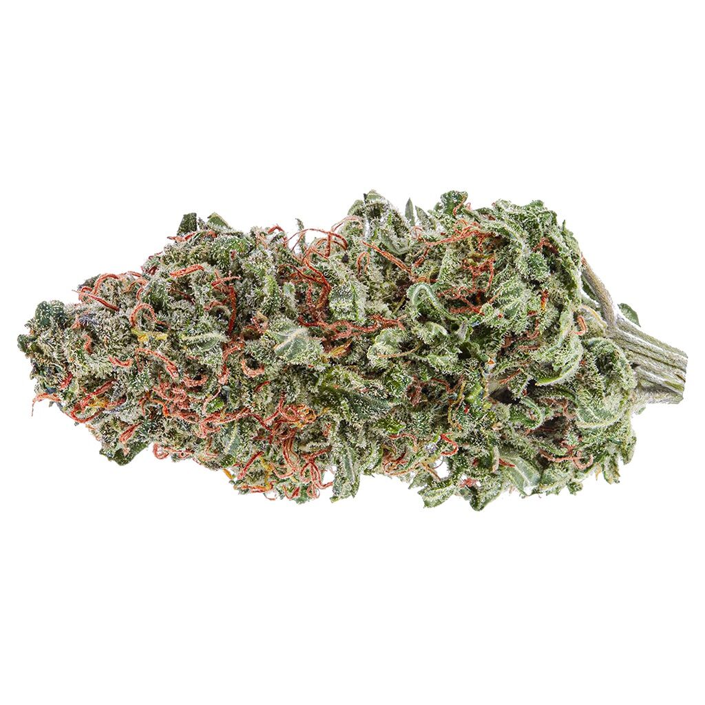 TGOD : GG#4