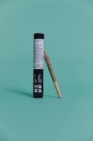Riff : TWO-TONE BAN PRE-ROLL (1g)
