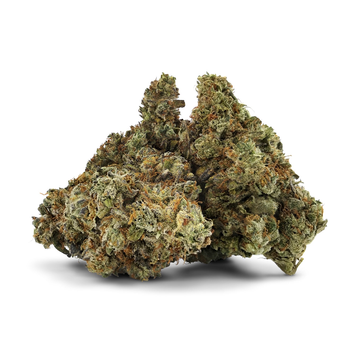 Dealr - Papaya Bomb Lto - 7G