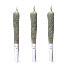 ACE VALLEY : CBD GREAT WHITE SHARK PRE-ROLLS (3x0.5g)