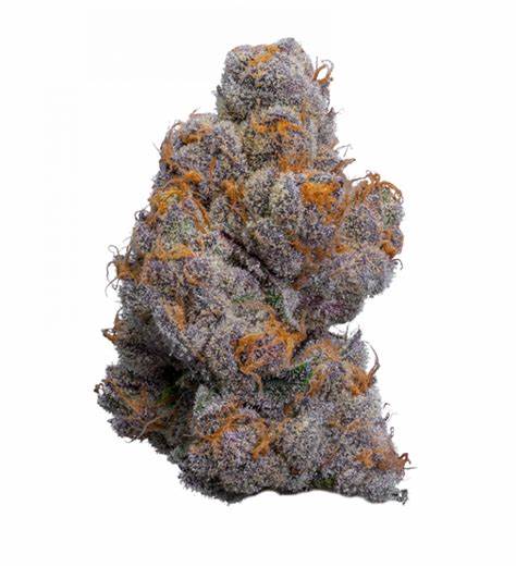 BC BLACK : PUREFIRE SHOCKWAVE