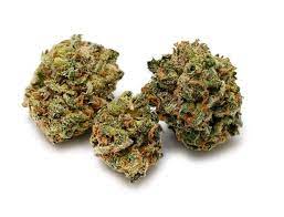 Pure Sunfarms : PURPLE SUN GOD