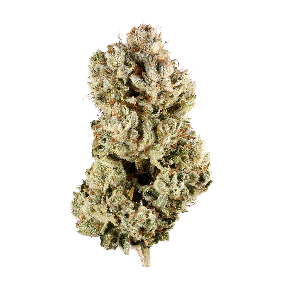 Top Leaf : GG#4