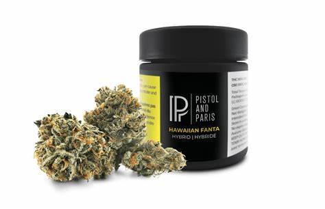 Pistol And Paris - Hawaiian Fanta - Pineapple Fanta X Grape Gasoline - Hybrid 1.5G