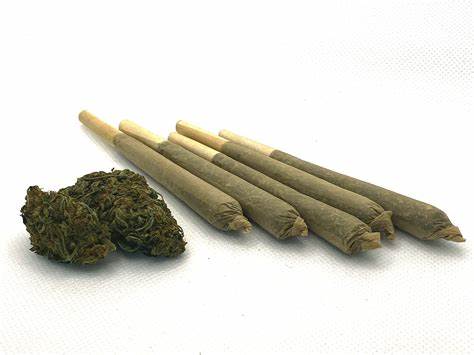 Natural History : ACDC CKS PRE-ROLLS - ACDC CKS PRE-ROLLS (3x.5g)