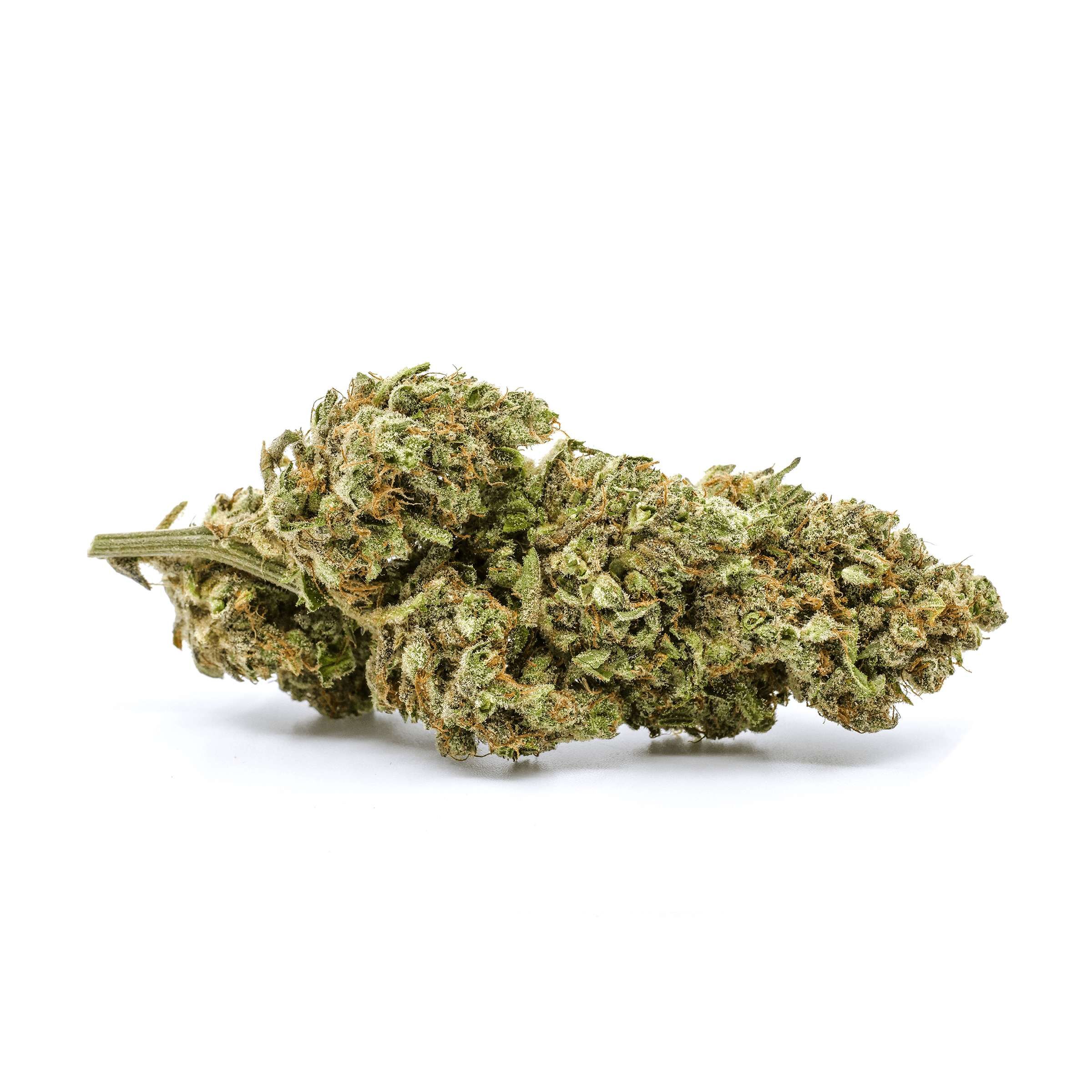 Redecan : GOD BUD