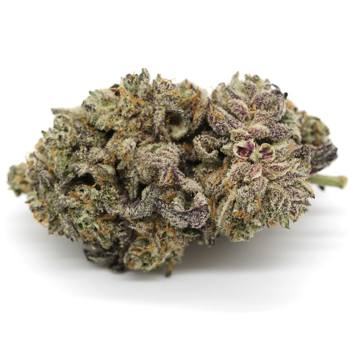 BC OZ : THIN MINT GSC CRAFT
