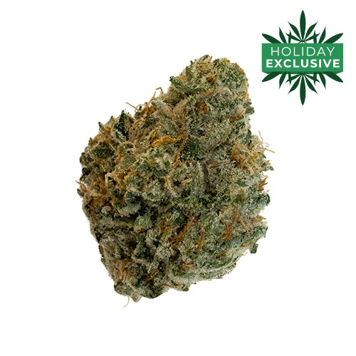 DOJA : RED FATSO