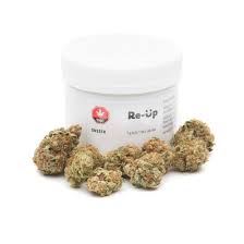 Re-Up : SNSSTR
