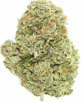 BC LEGACY : LEGACY KUSH (TOM FORD PINK KUSH)