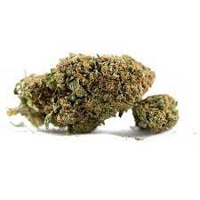 GRAIL : MASTER KUSH