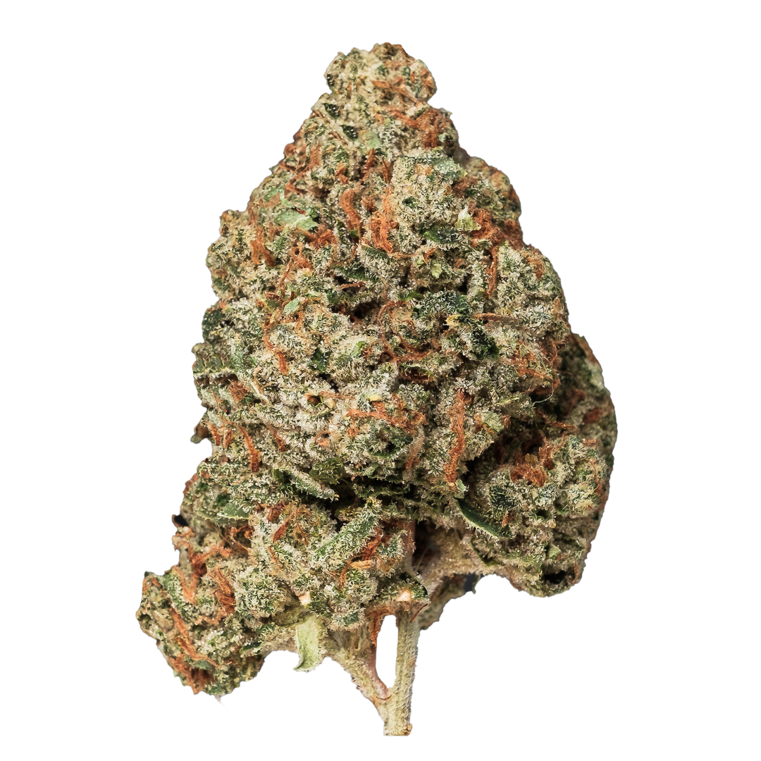 COVERT VALLEY : ISLAND PINK