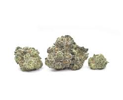 TANTALUS LABS : ORANGE CRASHER