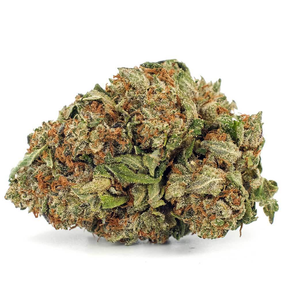 Canna Farms : BC KUSH