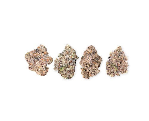 Bc Green : Exotic Craft Collection Pack