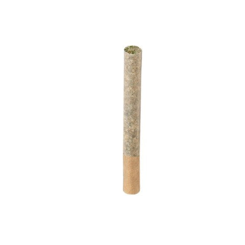 Cappellano Cannabis : Maple Blizzard Pre-Rolls (10pk)